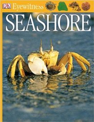 Seashore (DK Eyewitness Books)