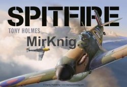 Spitfire (Osprey General Aviation)
