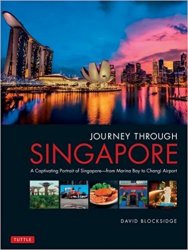 Journey Through Singapore: A Captivating Portrait of Singapore - from Marina Bay to Changi Airport