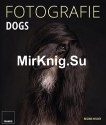 Fotografie Dogs: Lassen Sie Ihre Bilder sprechen und zeigen Sie die emotionalsten Momente mit Ihrem Hund