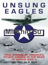 Unsung Eagles: True Stories of America's Citizen Airmen in the Skies of World War II