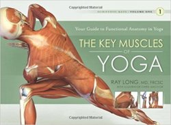 The Key Muscles Of Yoga: Your Guide To Functional Anatomy In Yoga