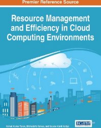 Resource Management and Efficiency in Cloud Computing Environments