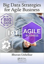 Big Data Strategies for Agile Business