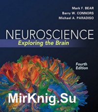 Neuroscience: Exploring the Brain