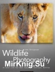 Wildlife Photography