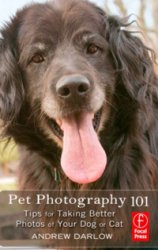 Pet Photography 101 Tips for Taking Better Photos of Your Dog or Cat