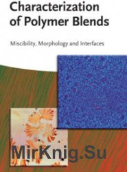 Characterization of polymer blends. Miscibility, Morphology and Interfaces