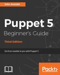 Puppet 5 Beginner's Guide, 3rd Edition (+code)