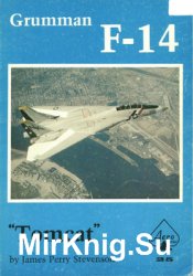 Grumman F-14 