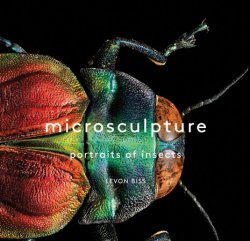 Microsculpture: Portraits of Insects
