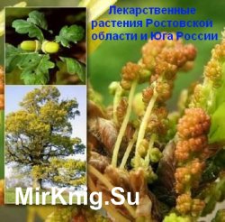 Лекарственные растения Ростовской области и Юга России
