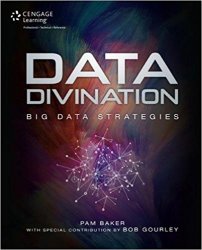 Data Divination: Big Data Strategies