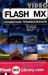 Flash MX Video.  