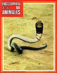 Enciclopedia de los animales 131