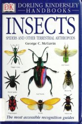 Insects: Spiders and Other Terrestrial Arthropods