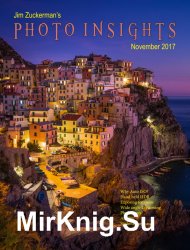 Photo Insights Issue 11 2017