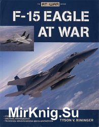 F-15 Eagle at War [The at War Series]