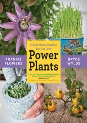 Power Plants: Simple Home Remedies You Can Grow