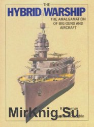 The Hybrid Warship: The Amalgamation of Big Guns and Aircraft