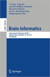 Brain Informatics: International Conference, BI 2017