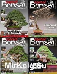 Esprit Bonsai International 85-91 2017