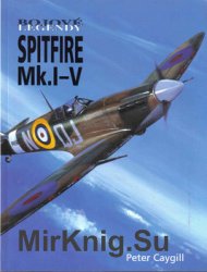 Spitfire Mk.I-V (Bojove Legendy)