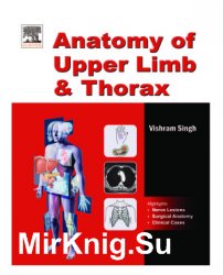Anatomy of Upper Limb and Thorax