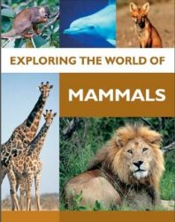 Exploring the world of mammals
