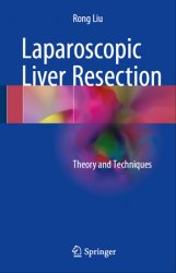 Laparoscopic Liver Resection: Theory and Techniques
