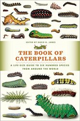 The Book of Caterpillars: A Life-Size Guide to Six Hundred Species from around the World
