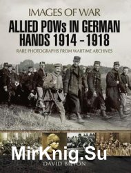 Allied POWs in German Hands 1914 - 1918 (Images of War)