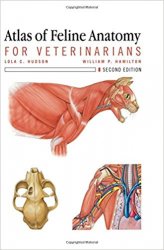 Atlas of Feline Anatomy For Veterinarians, Second Edition