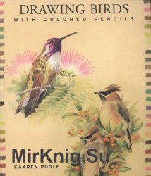 Drawing Birds with Colored Pencils