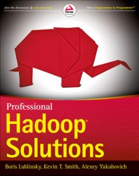 Professional Hadoop Solutions (+code)