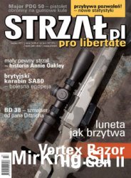 Strzal 2017-03