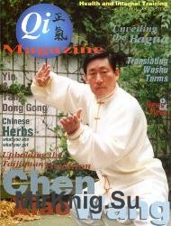 Qi Magazine 19 1995