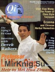 Qi Magazine 20 1995