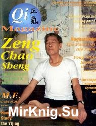 Qi Magazine 21 1995