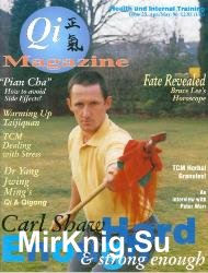 Qi Magazine 25 1996