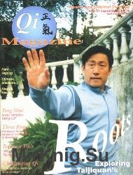 Qi Magazine 27 1996