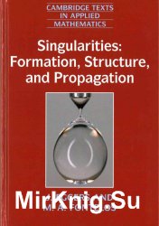 Singularities: Formation, Structure, and Propagation