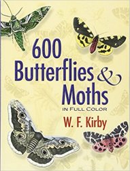 600 Butterflies and Moths in Full Color