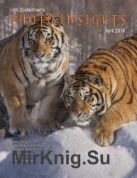 Photo Insights Issue 4 2018