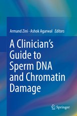 A Clinician’s Guide to Sperm DNA and Chromatin Damage
