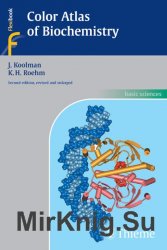 Color Atlas of Biochemistry, Second edition, revised and enlarged