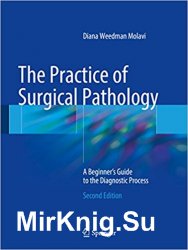 The Practice of Surgical Pathology A Beginner's Guide to the Diagnostic Process