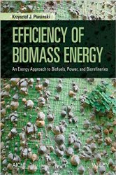 Efficiency of Biomass Energy: An Exergy Approach to Biofuels, Power, and Biorefineries