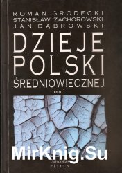 Dzieje Polski sredniowiecznej. Tom 1. do roku 1333