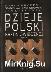 Dzieje Polski sredniowiecznej. Tom 2. od roku 1333 do 1506